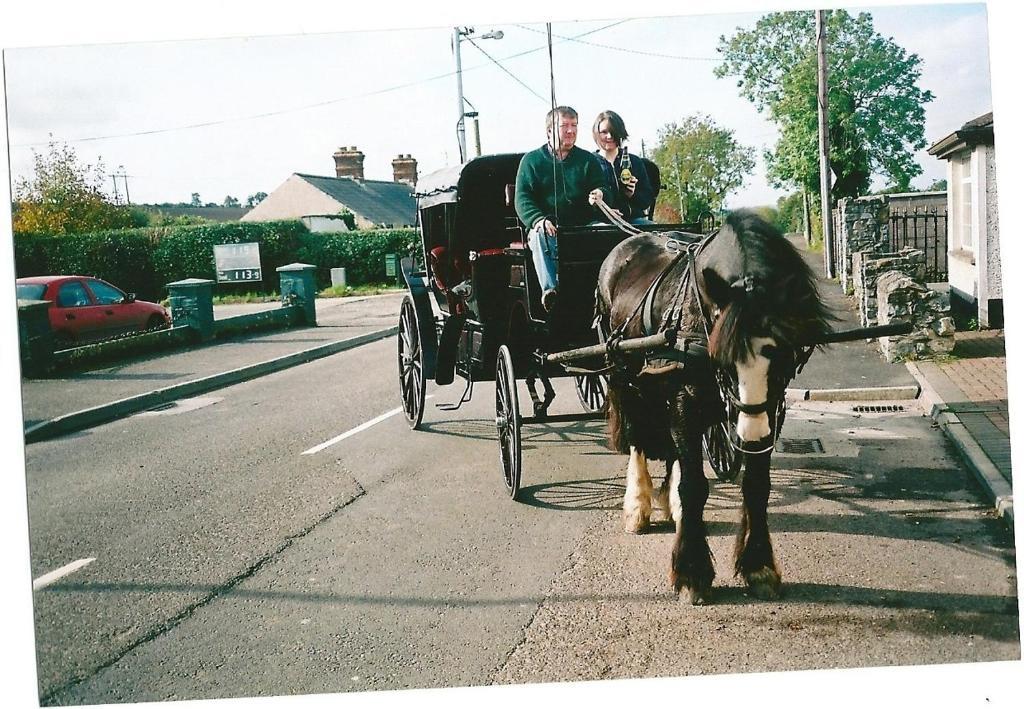 Dalys Inn Donore  Exteriér fotografie
